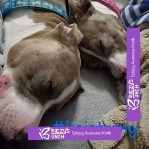 Meet your Posher, Renee